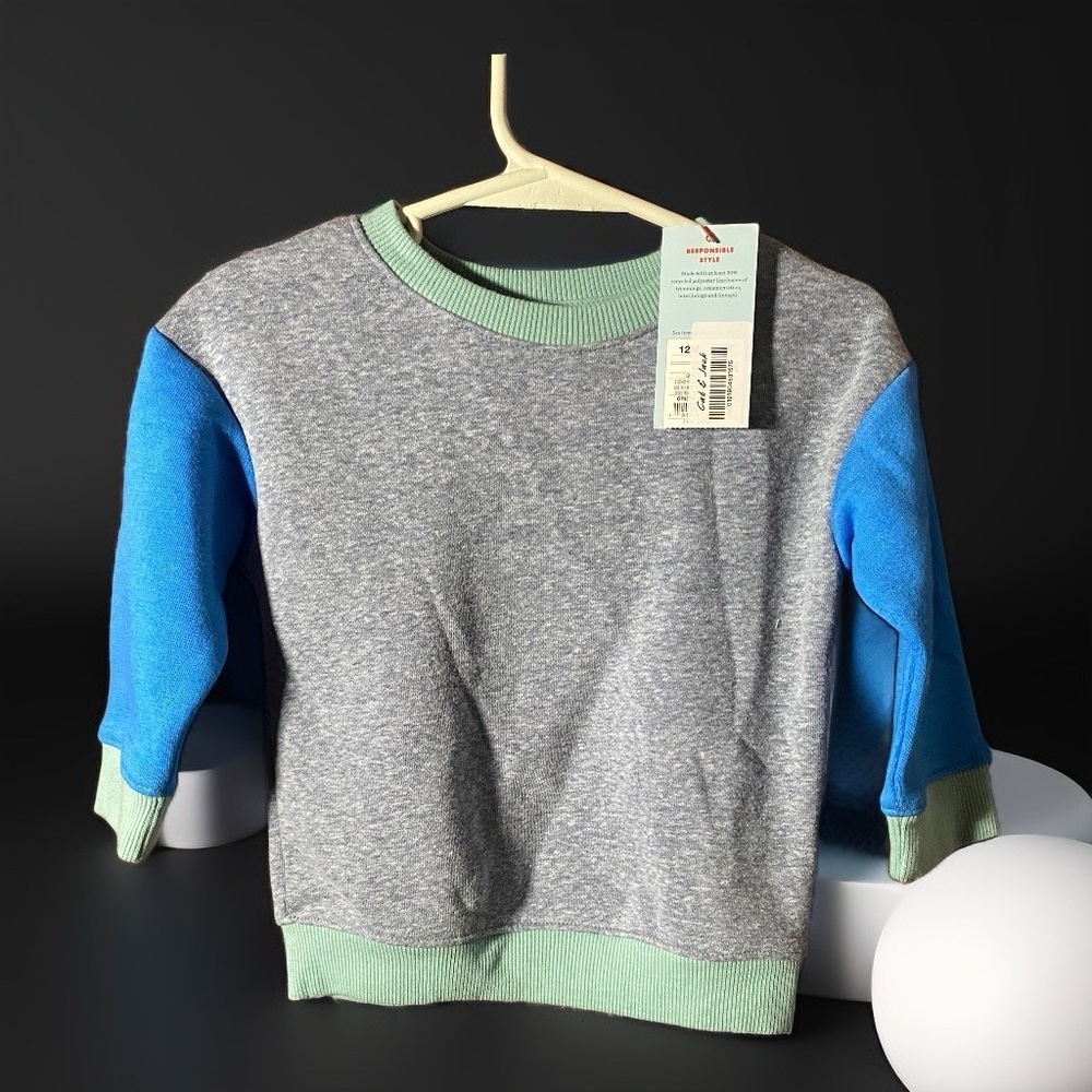 Colorblock Crewneck Sweatshirt